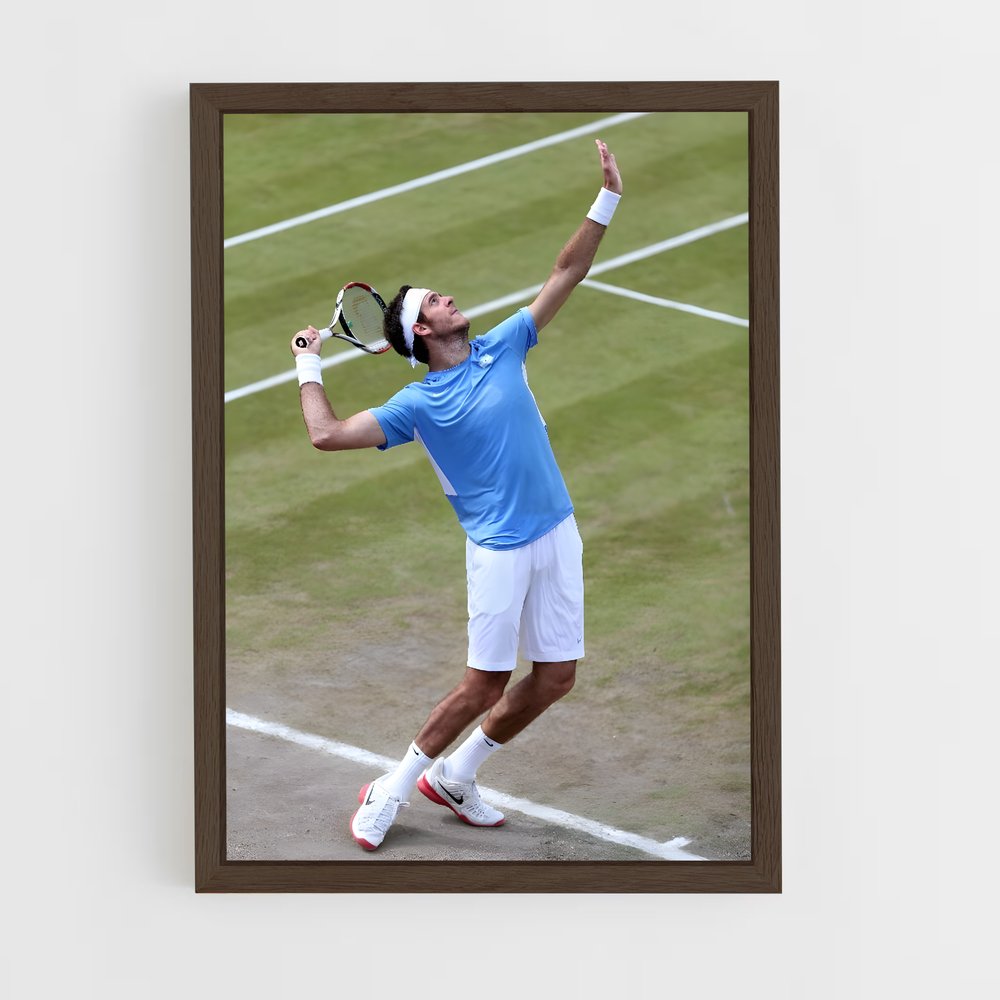Poster Juan de martin potro – affiche Tennis (vue 5)
